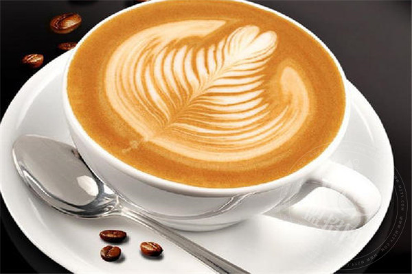 G7咖啡加盟要多少钱？现在能不能开家品牌加盟店？