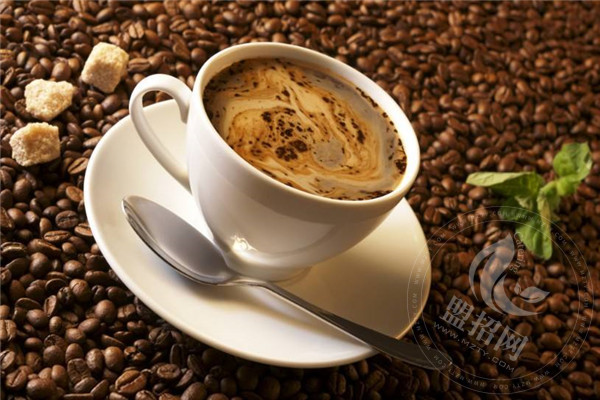 红摩卡精品咖啡怎么加盟？此品牌起源于哪里？
